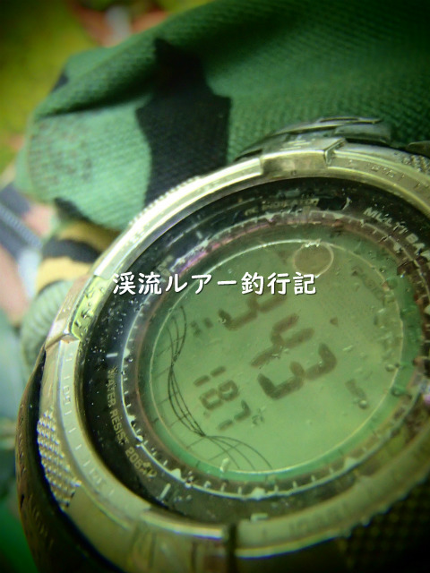 P4300009 (2).jpg