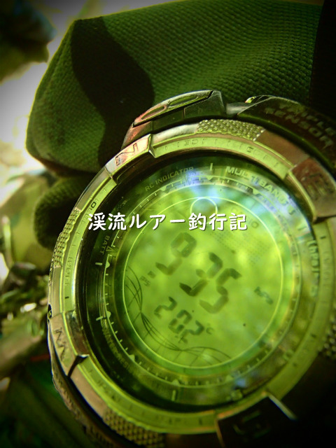 P4300015 (2).jpg