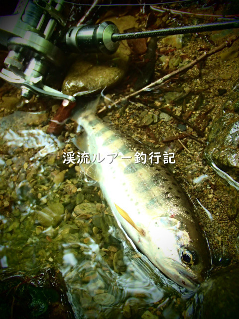 P4300020 (2).jpg
