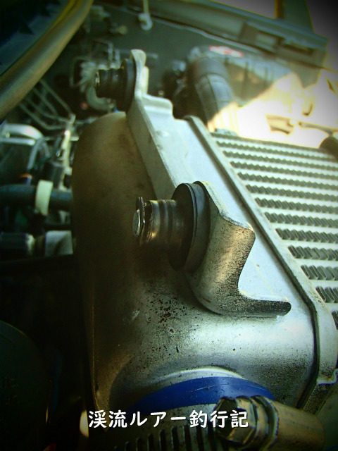P5010023 (2).jpg