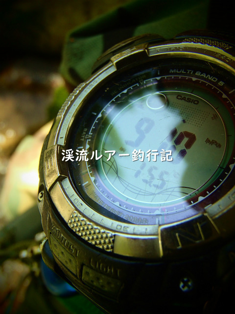 P5020003 (2).jpg
