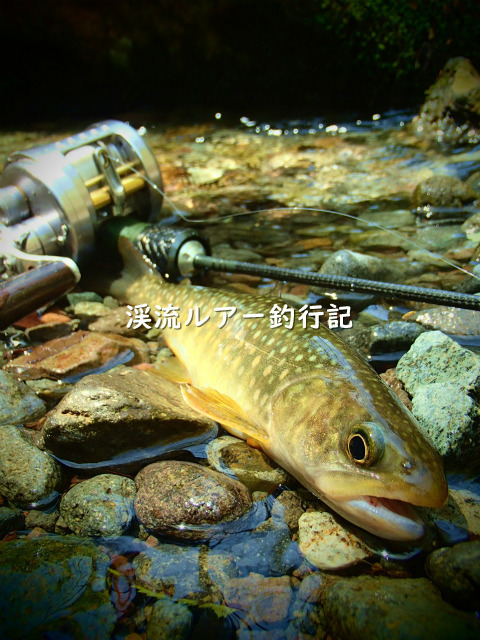 P5020024 (2).jpg