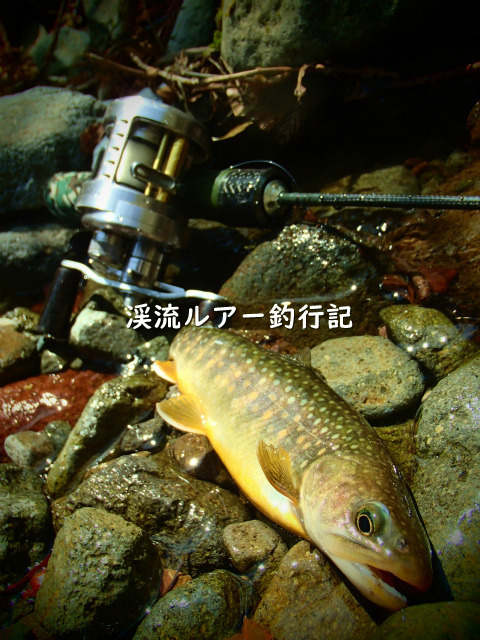 P5020026 (2).jpg