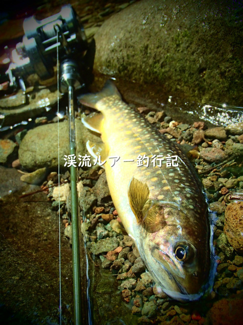 P5020042 (2).jpg