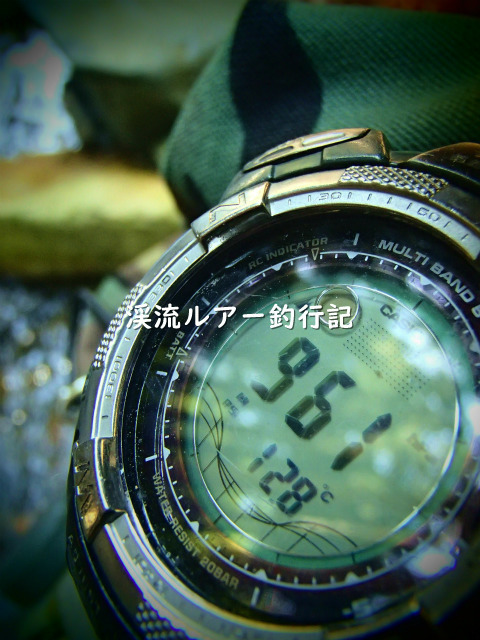 P5030005_01 (2).jpg