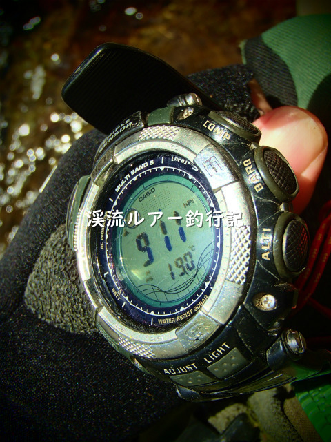 P5030015 (2).jpg
