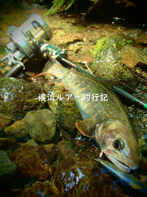 P5030030_02 (2).jpg