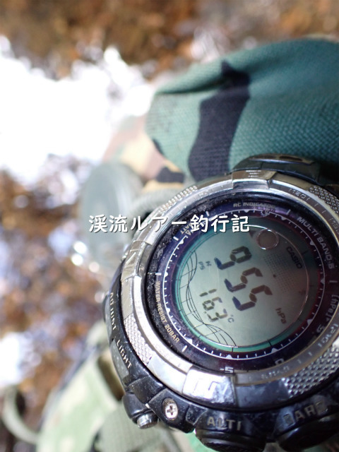 P5040007 (2).jpg