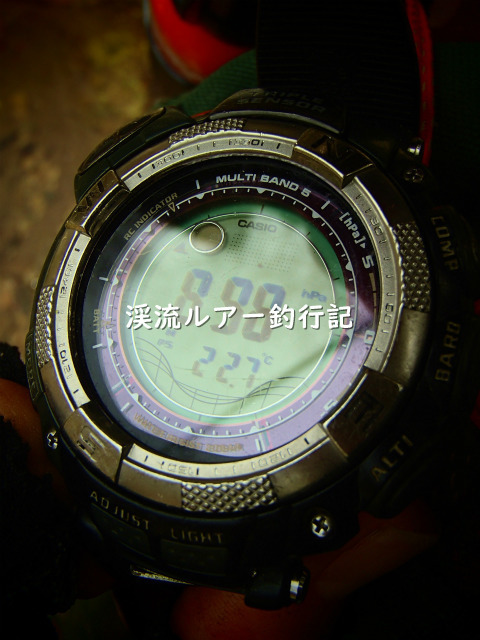P5040055 (2).jpg