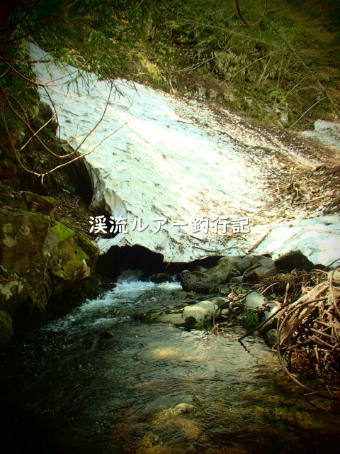 P5040059 (2).jpg