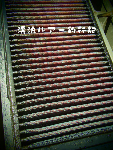 P5050003.jpg