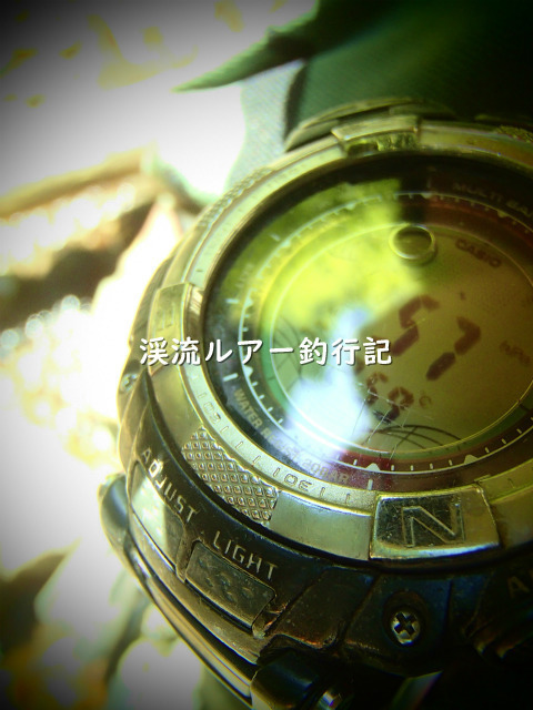 P5050004 (2).jpg