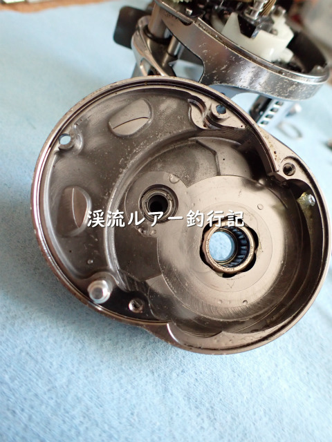 P5050005 (2).jpg
