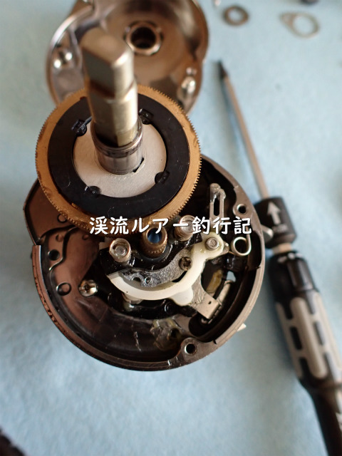 P5050006 (2).jpg