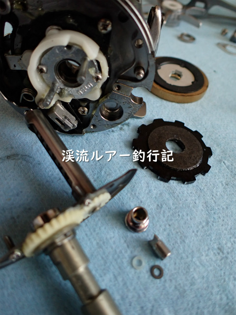 P5050013 (2).jpg