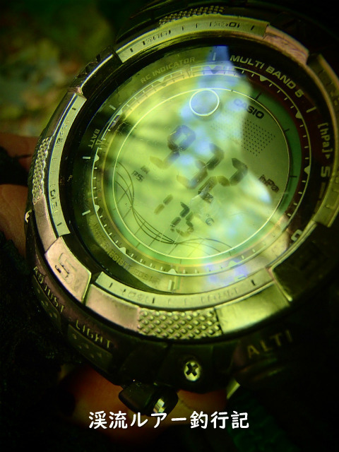 P5060047 (2).jpg