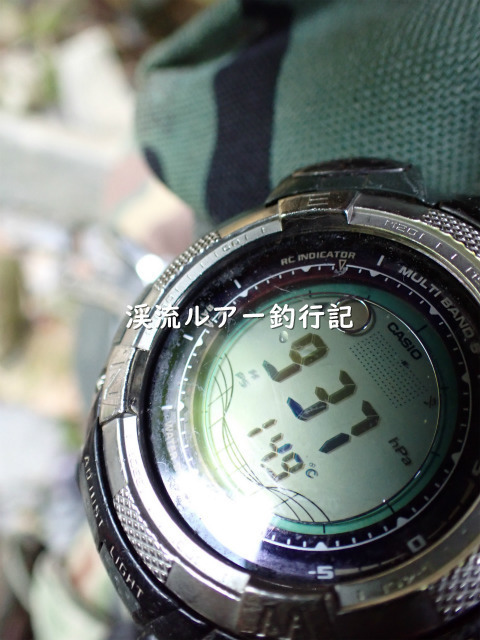 P5070050 (2).jpg