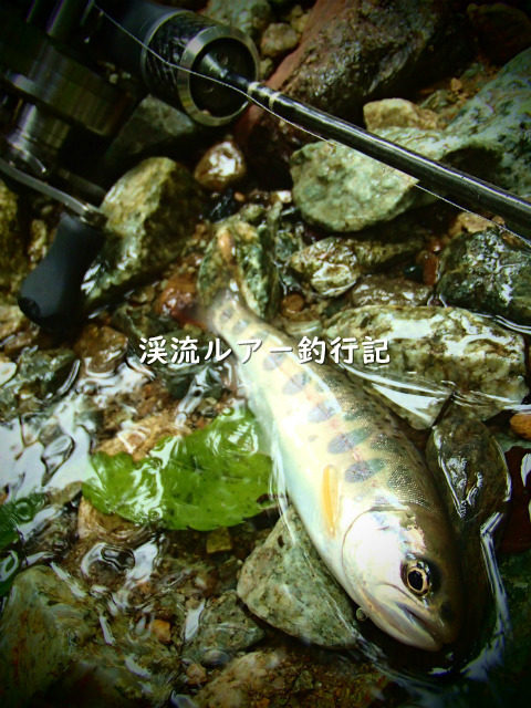 P5080038 (2).jpg