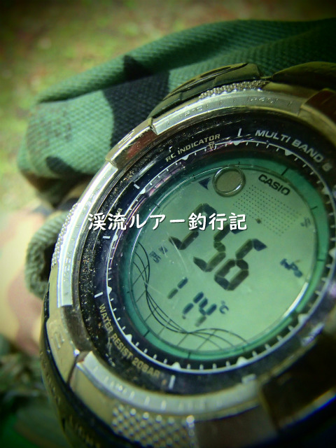 P5080047 (2).jpg