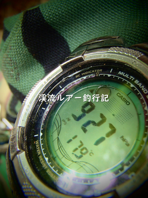P5100006 (2).jpg