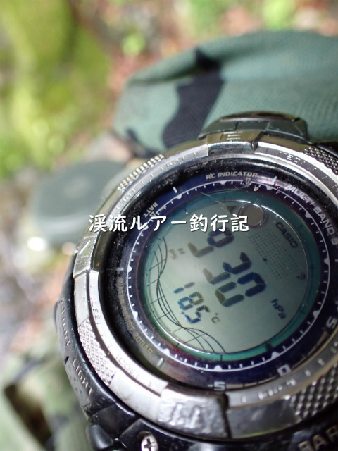 P5100086 (2).jpg