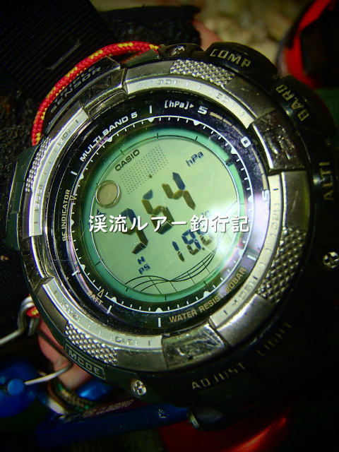 P5120021 (2).jpg