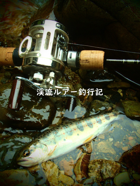 P5120023 (2).jpg