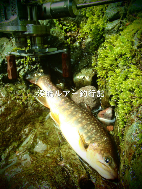 P5150056 (2).jpg