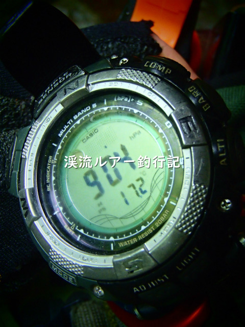 P5190026 (2).jpg
