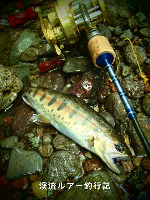 P5200020 (2).jpg