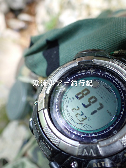 P5210247 (2).jpg