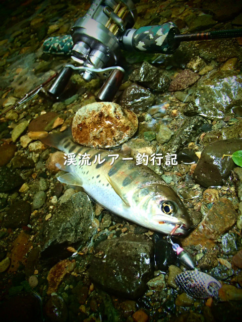 P5250037 (2).jpg