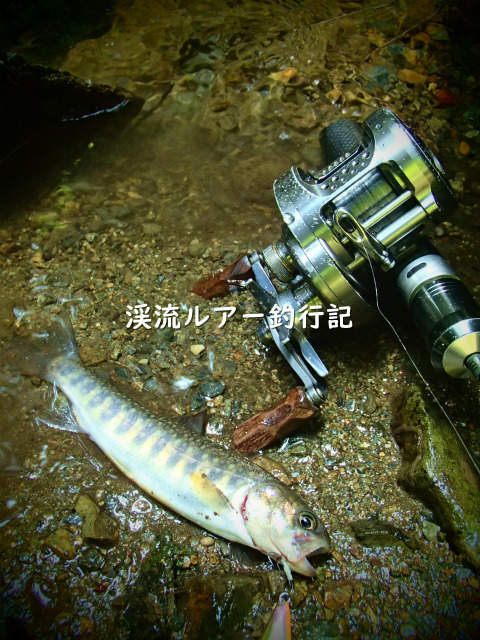 P5260004 (2).jpg