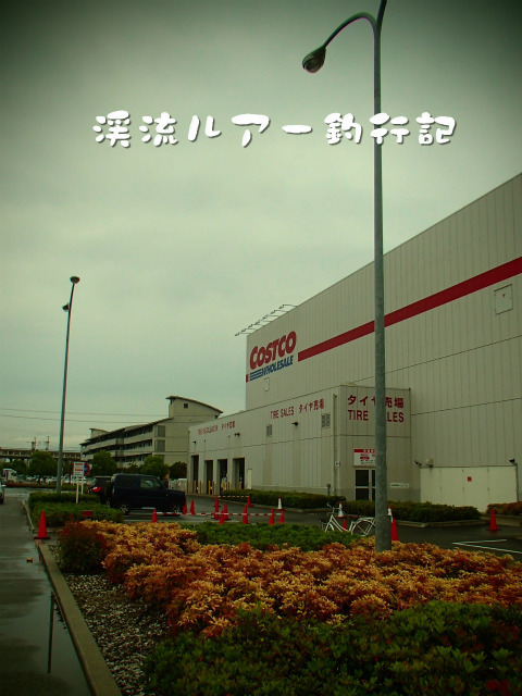 P5300089.jpg