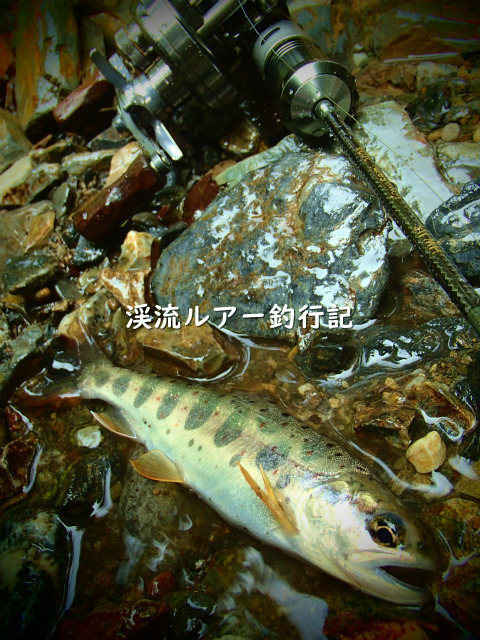 P6020002 (2).jpg