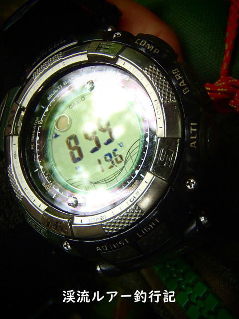 P6020013 (2).jpg