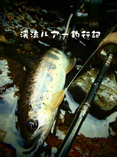 P6030024.jpg