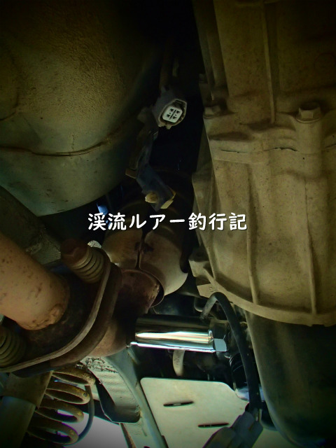 P6050004 (2).jpg