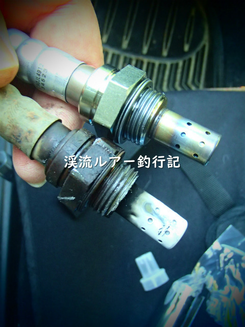 P6050005 (2).jpg
