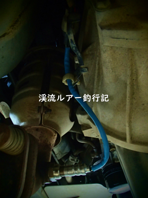 P6050006 (2).jpg