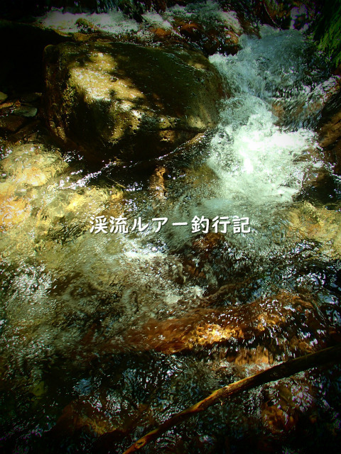 P6070006 (2).jpg
