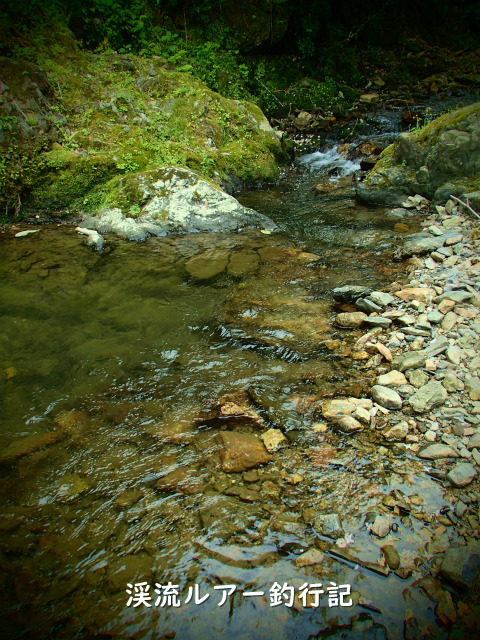 P6100038 (2).jpg