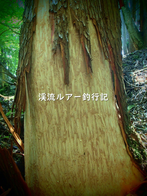 P6110003 (2).jpg