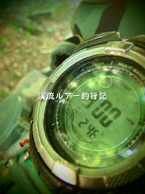 P6110006 (2).jpg