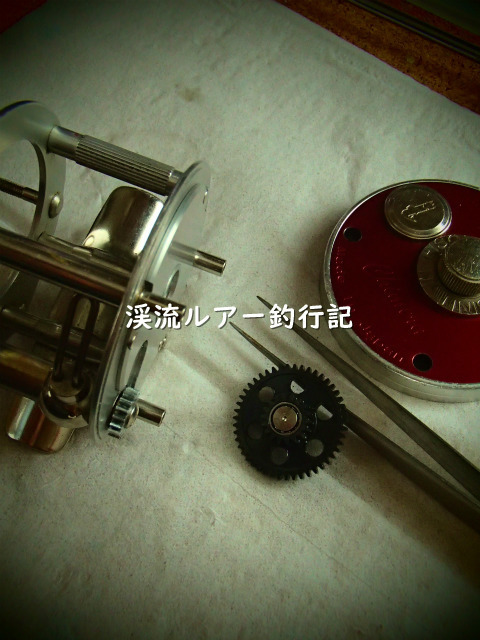P6150006 (2).jpg