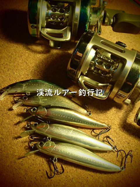 P6160016 (2).jpg