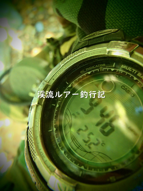 P6190008 (2).jpg