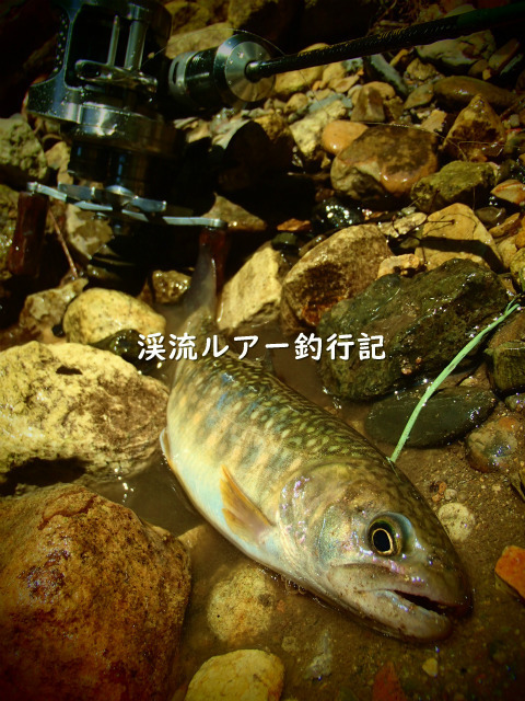 P6190016 (2).jpg