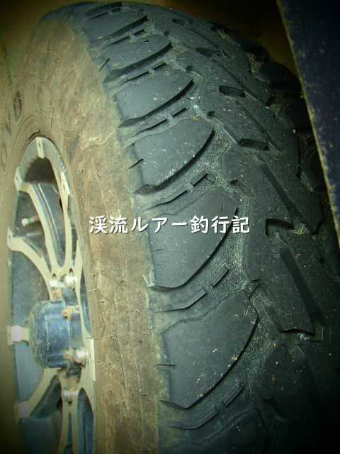 P6200037 (2).jpg