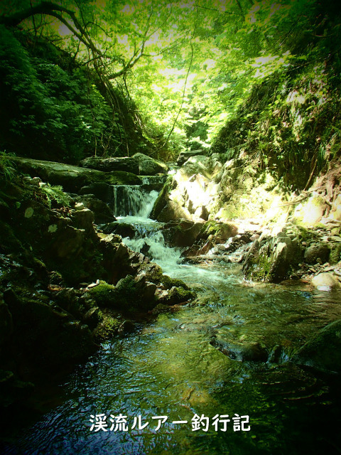 P6240017 (2).jpg